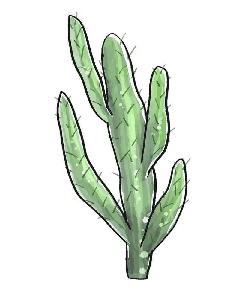 cactus dans un style Aquarelle isolé sur fond blanc. vecteur