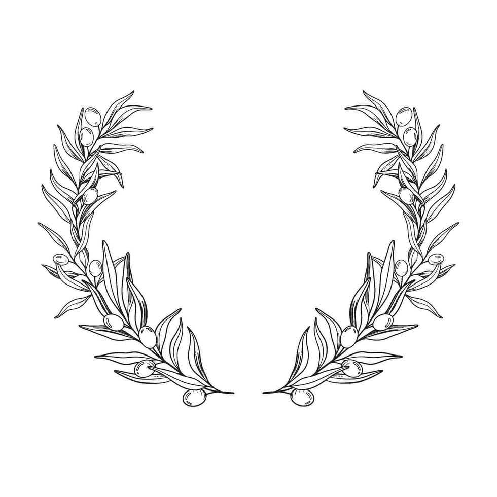 esquisser couronne de olive branche avec baies et feuilles. main tiré vecteur ligne art Cadre illustration. noir et blanc dessin de le symbole de Italie ou grec pour cartes, conception logo, tatouage.