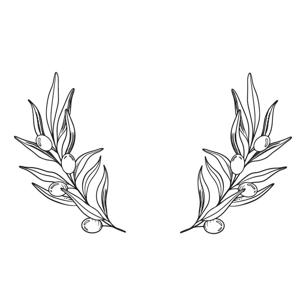 esquisser couronne de olive branche avec baies et feuilles. main tiré vecteur ligne art Cadre illustration. noir et blanc dessin de le symbole de Italie ou grec pour cartes, conception logo, tatouage.