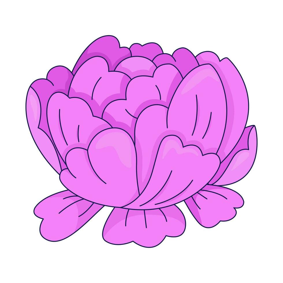 rose pivoine fleur 2d linéaire dessin animé objet. Célibataire fleur été fleur isolé ligne vecteur élément blanc Contexte. de bonne heure printemps jardin épanouissement floral nostalgie Couleur plat place illustration