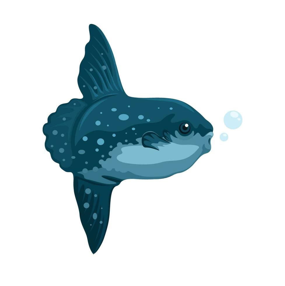 mola poisson aquatique animal espèce dessin animé illustration vecteur