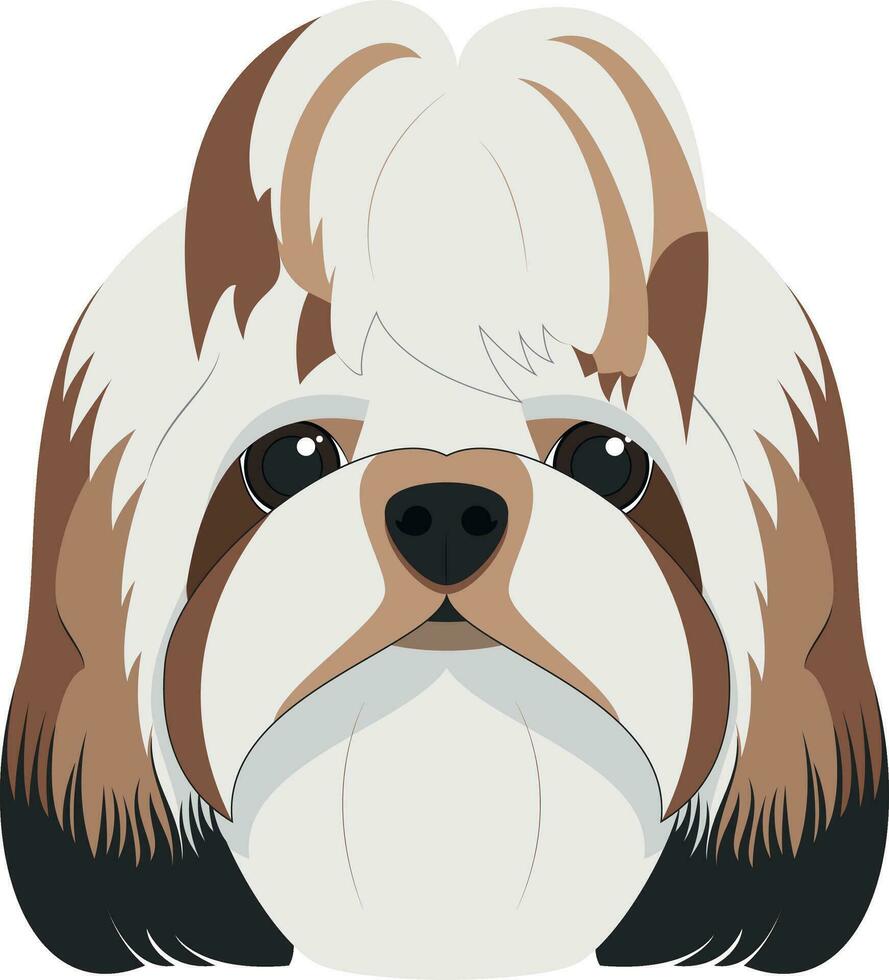 shitzu chien isolé sur blanc Contexte vecteur illustration