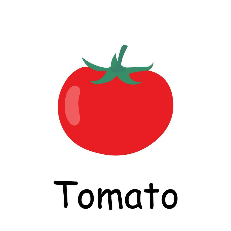 tomate illustration plat vecteur. des légumes flashcard. élément pour cuisine, cuisson, super marché, en bonne santé mode de vie concept vecteur