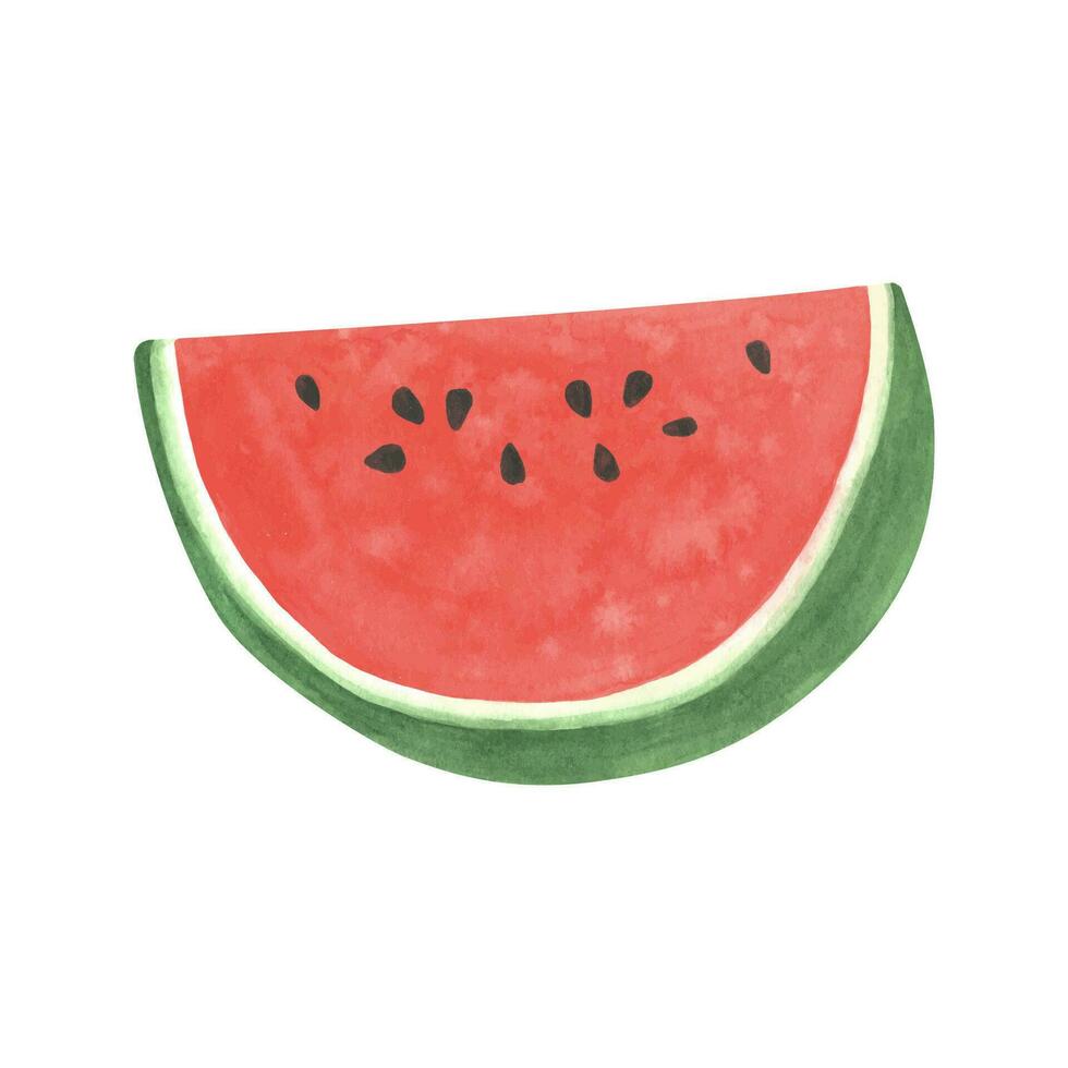 aquarelle pastèque clipart, été mûr fruit, pastèque fête vecteur