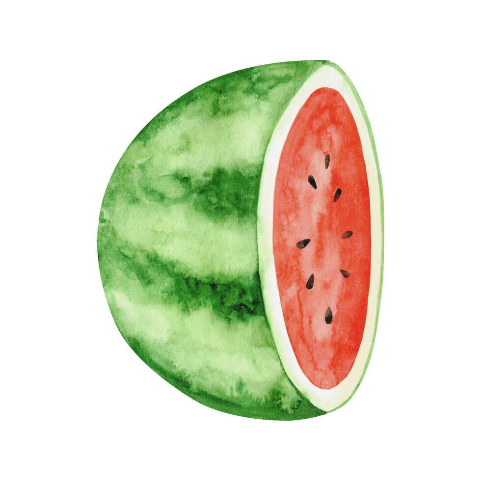 aquarelle pastèque clipart, été mûr fruit, pastèque fête vecteur