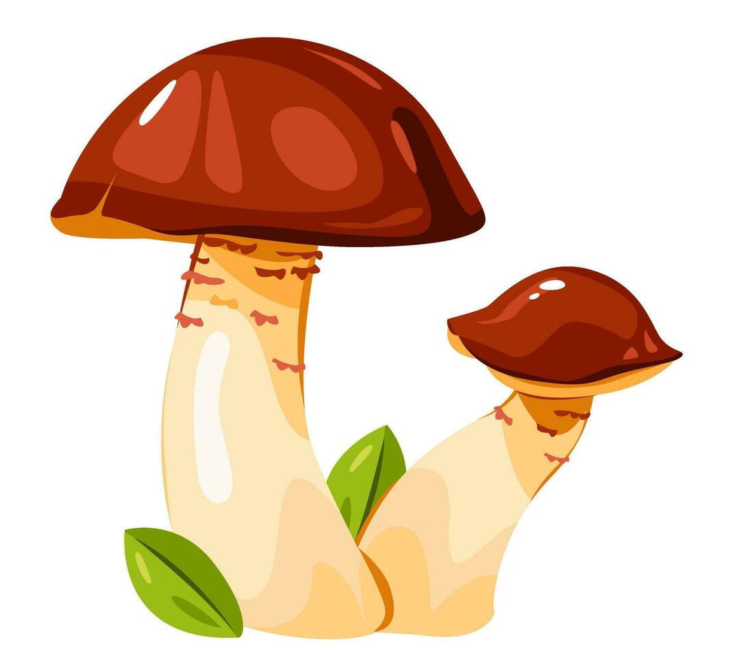 comestible champignon. dessin animé vecteur illustration.