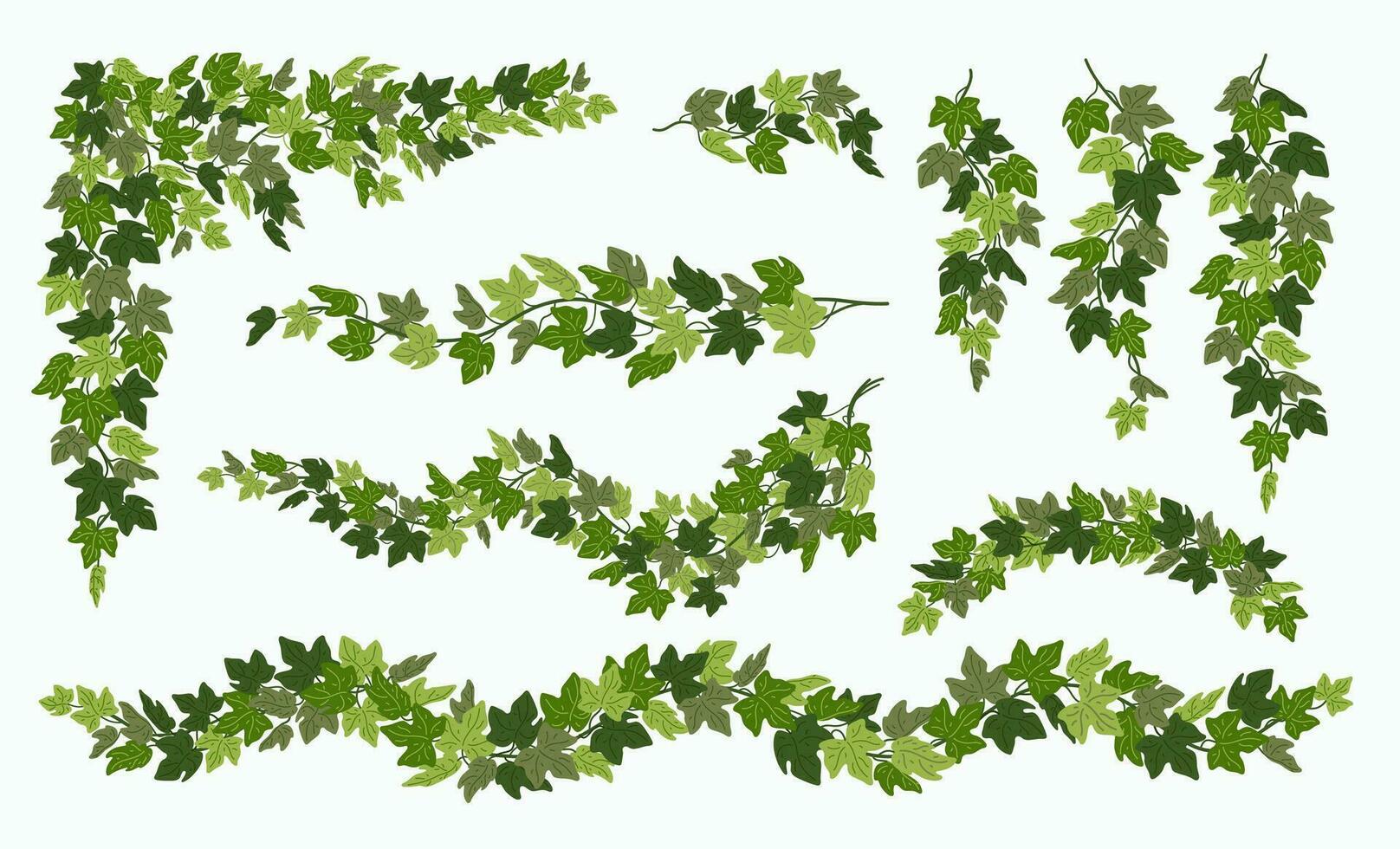 lierre vignes ensemble, divers vert léche-botte plante isolé sur blanc Contexte. vecteur illustration dans plat dessin animé style