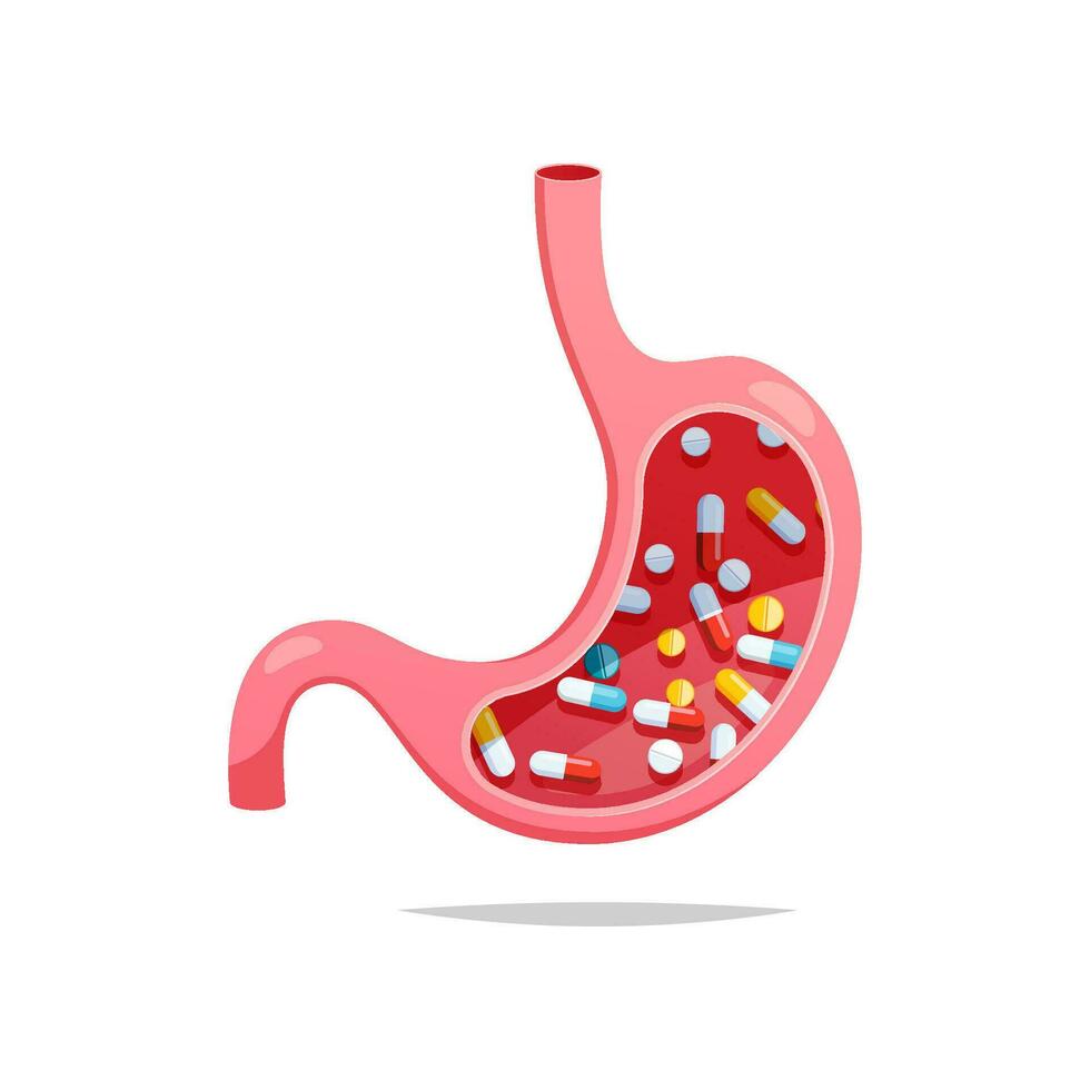 estomac plein de pilules isolé sur blanc Contexte vecteur