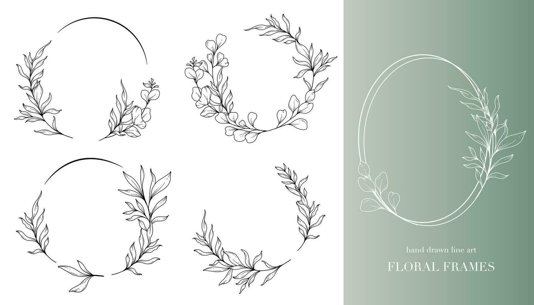 eucalyptus ligne art. floral cadres et bouquets ligne art. bien ligne eucalyptus cadres main tiré illustration. main dessiner contour feuilles et fleurs. botanique coloration page. eucalyptus isolé vecteur