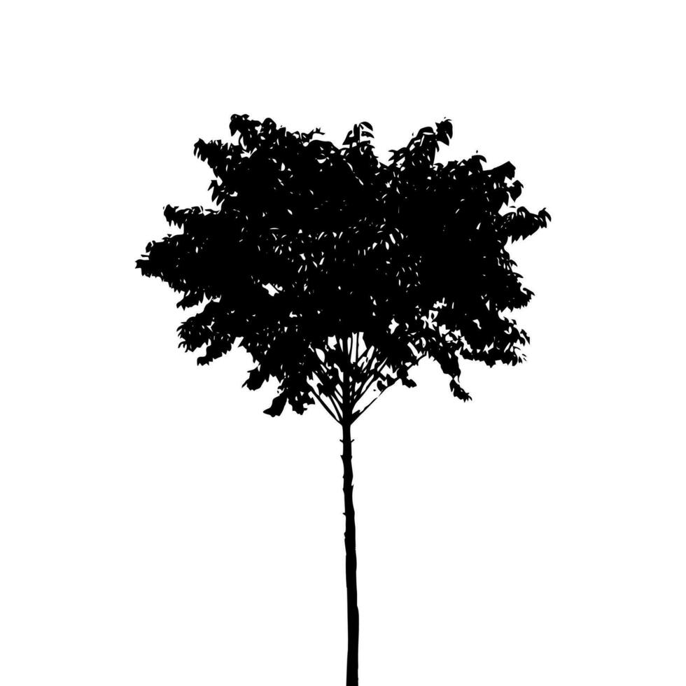 noir arbre silhouette vecteur illustration, silhouette de paume arbre sur blanc Contexte vecteur art, noir Couleur ,