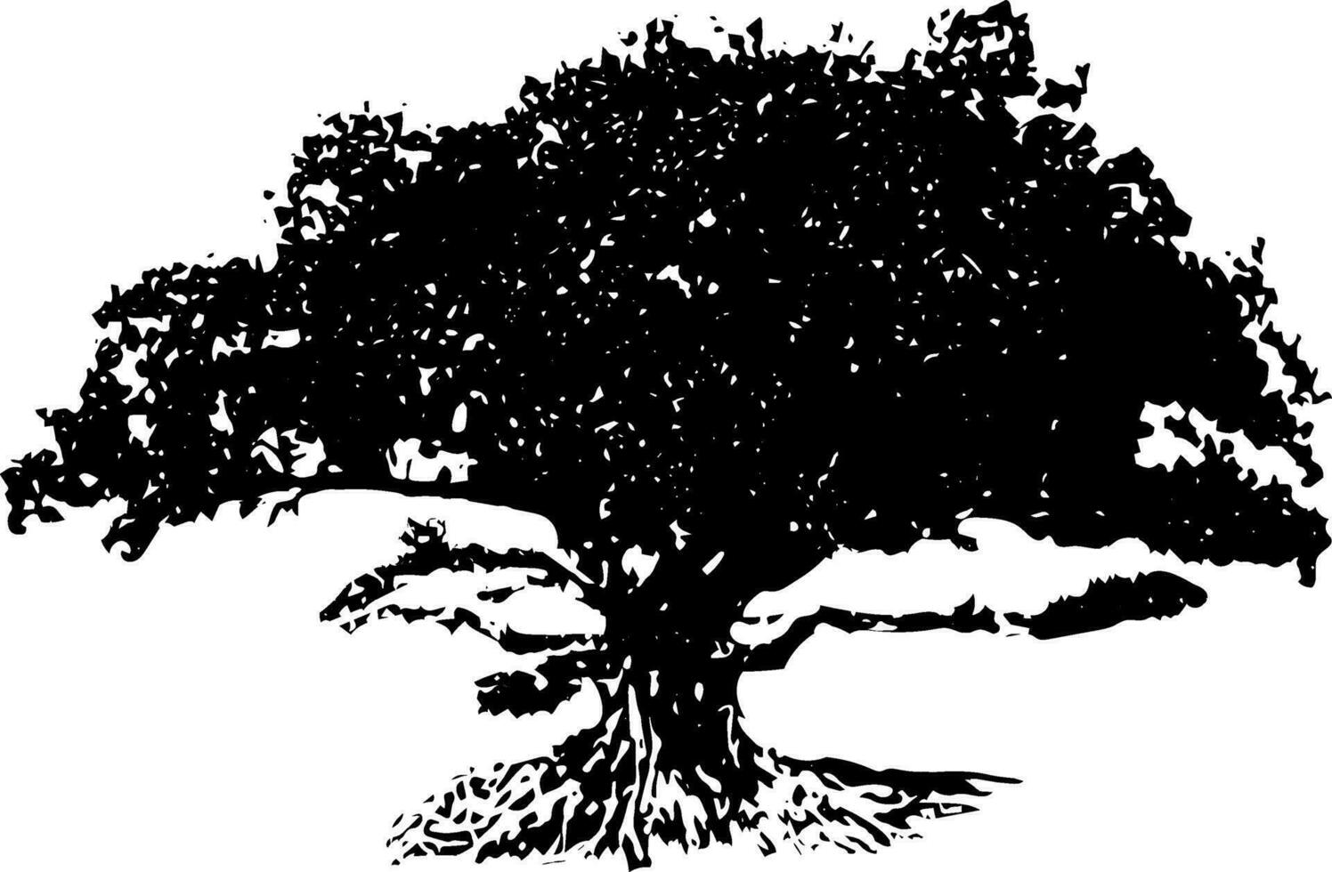 une noir et blanc photo de une grand arbre, silhouette de mangue arbre sur blanc Contexte vecteur art, noir Couleur