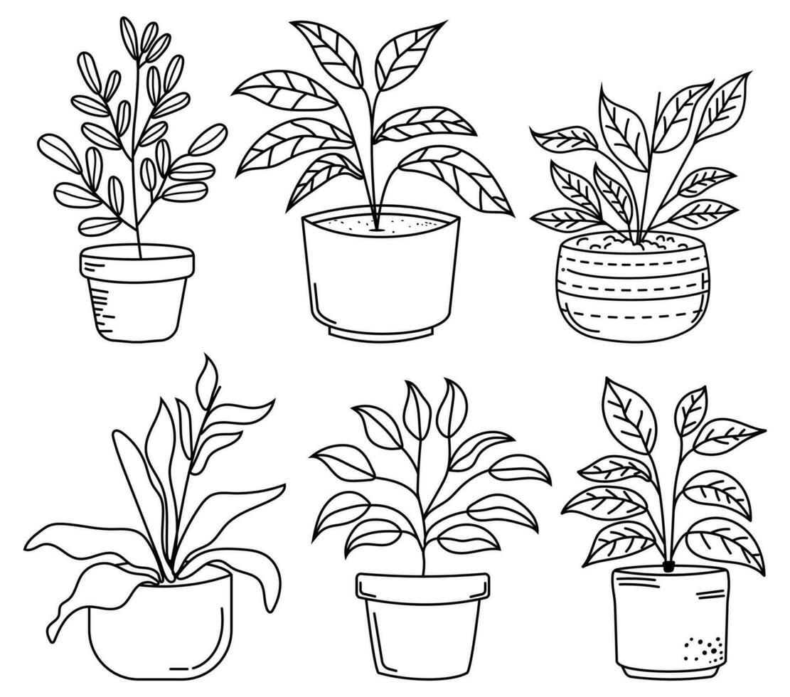 mis en pot plante dessins ensemble vecteur