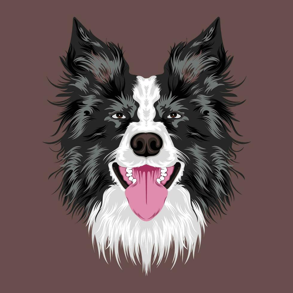 frontière colley chien visage illustration vecteur