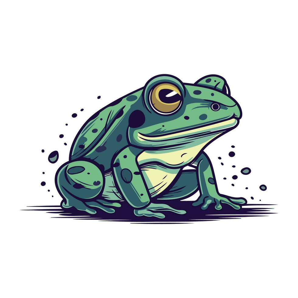 grenouille. vecteur illustration sur une blanc Contexte. dessin animé style.