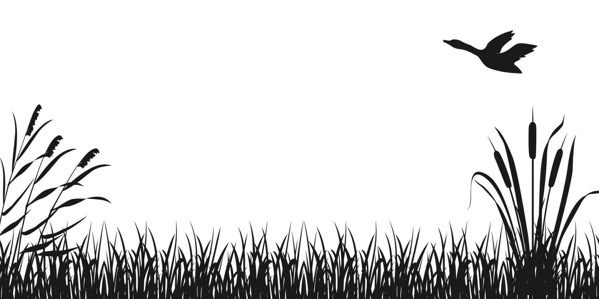 silhouette de herbe avec roseaux et en volant canard. marécages vecteur illustration. foncé Contexte sur thème de chasse