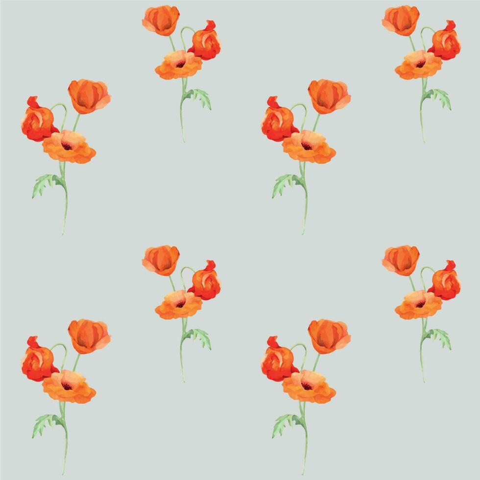 aquarelle sans couture modèle avec main tiré été brillant rouge coquelicot fleurs. isolé sur Couleur Contexte. conception pour faire-part, mariage, l'amour ou salutation cartes, papier, imprimer, textile vecteur