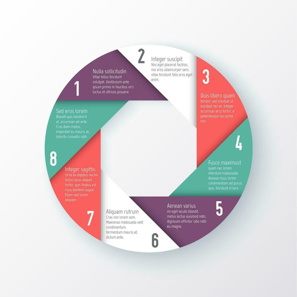 infographie diagramme tarte graphique modèle vecteur