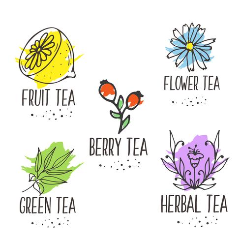 Collection d&#39;éléments de logo de tisane. Herbes biologiques et fleurs sauvages. vecteur