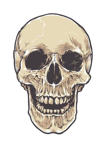 Crâne anatomique grunge vecteur