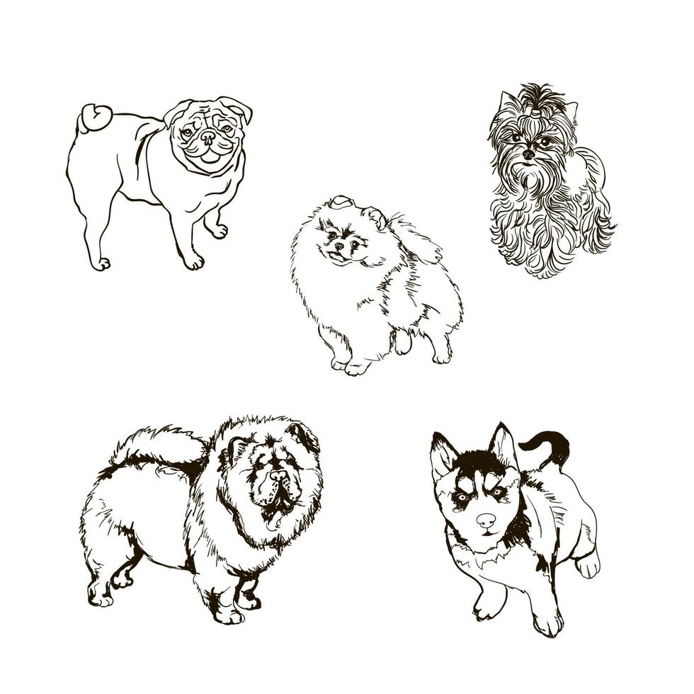 ensemble d'illustrations de contour avec des chiens de différentes races vecteur