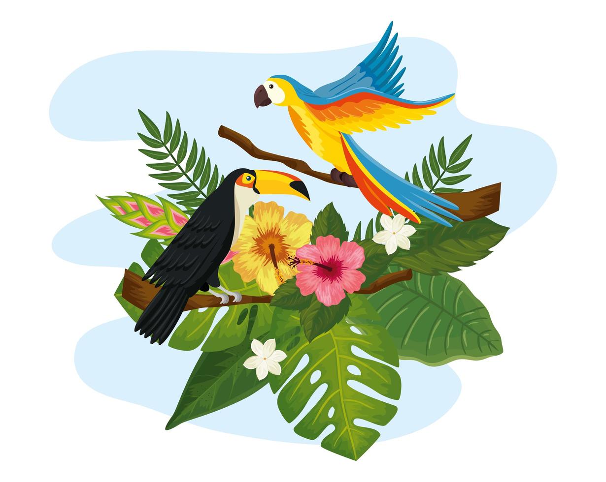 perroquet avec toucan et feuilles nature vecteur