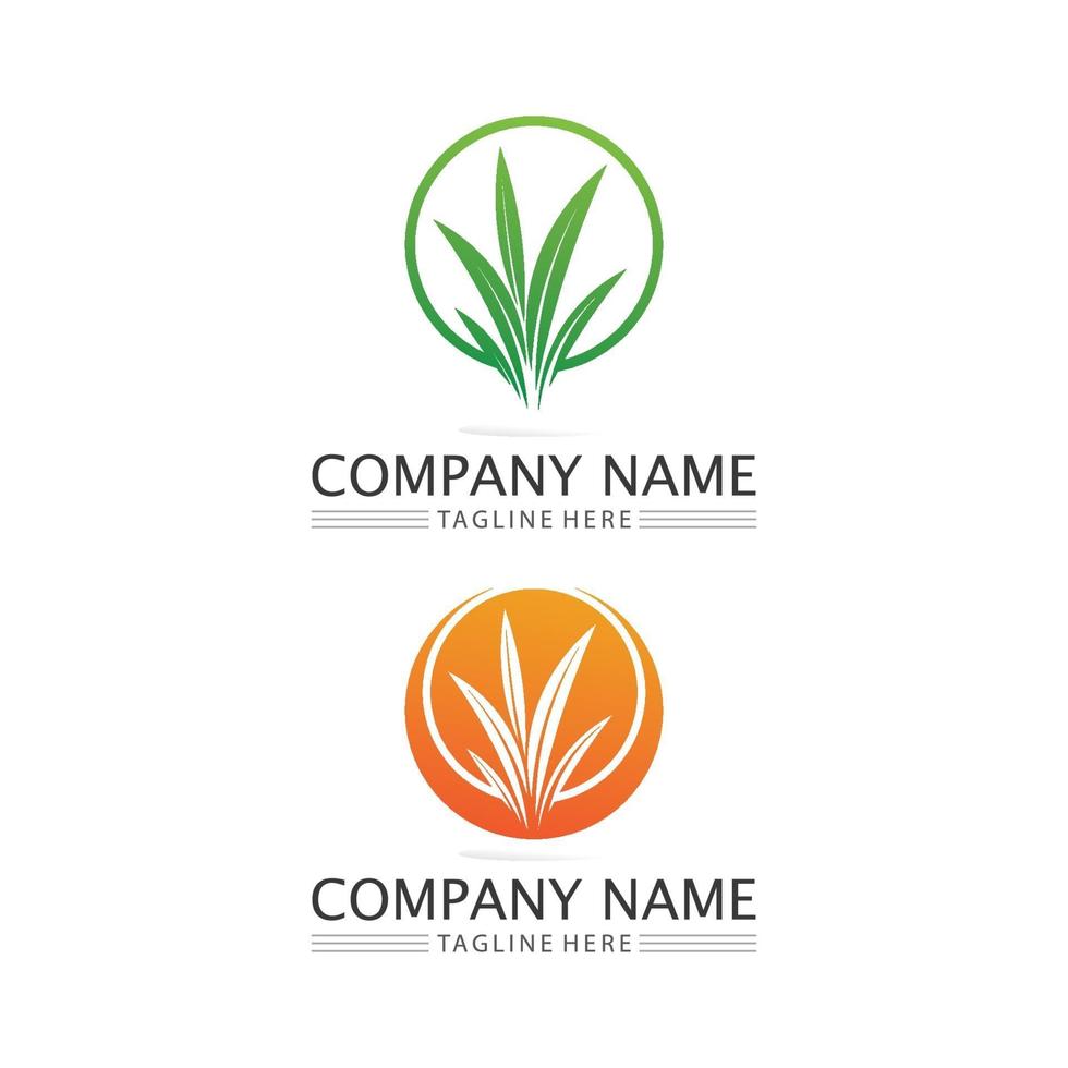 logos d'arbre vert feuille écologie conception nature logo vecteur