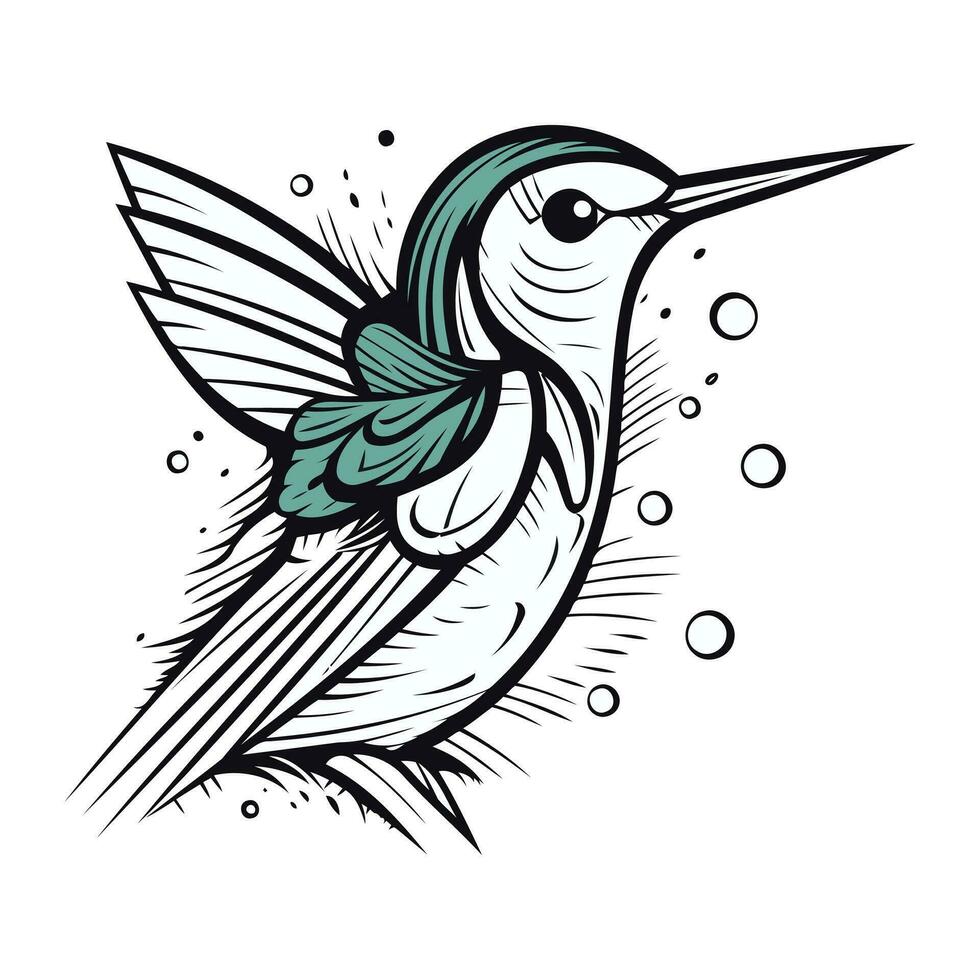 vecteur image de une colibri sur une blanc Contexte. main dessin.