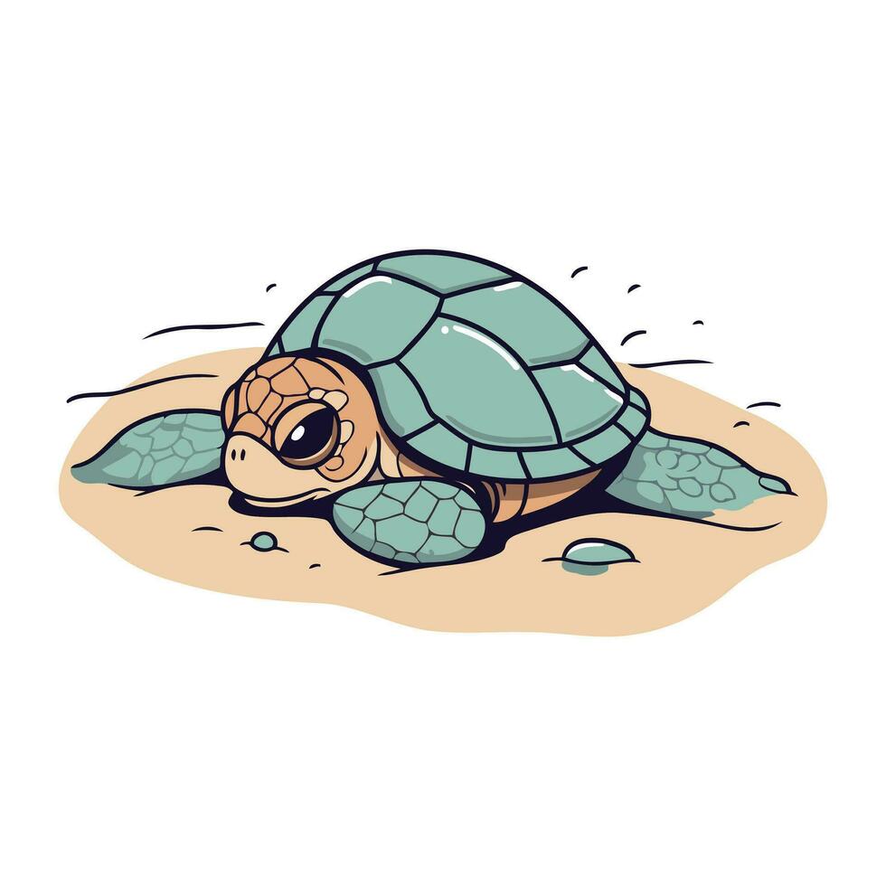 dessin animé tortue sur le sable. vecteur illustration de une mer animal.