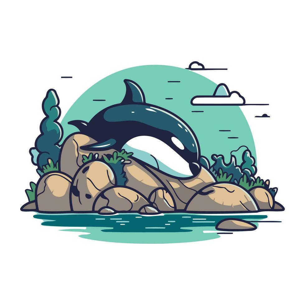 dessin animé tueur baleine sur le Roche dans le mer. vecteur illustration.