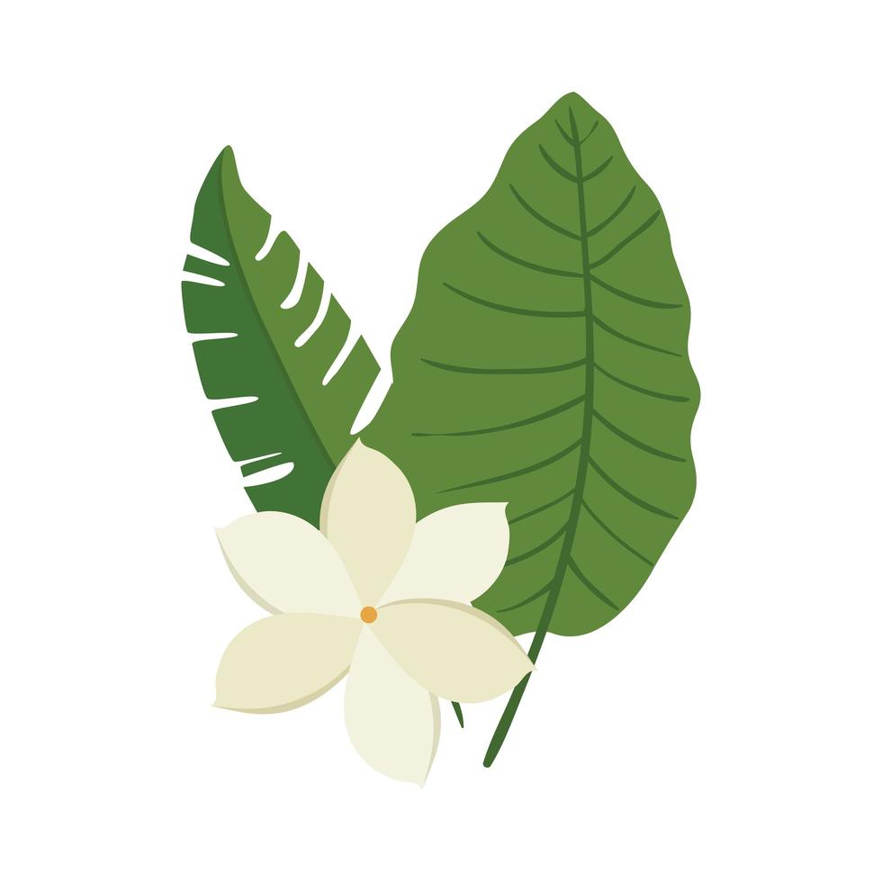 Jolie fleur avec icône isolé de feuilles vecteur