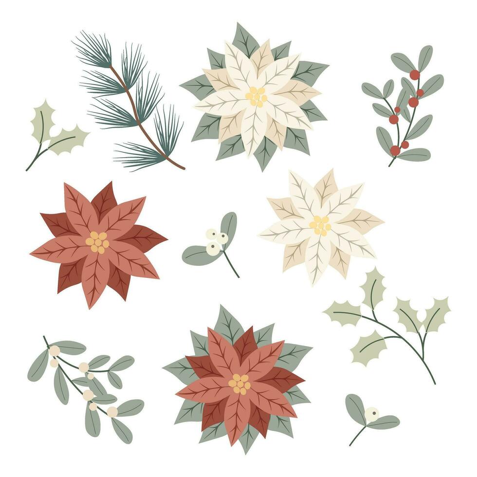 ensemble de les plantes et poinsettia fleurs. traditionnel hiver symbole de Noël et Nouveau an. parfait pour décoration de vacances cartes prospectus et invitations vecteur