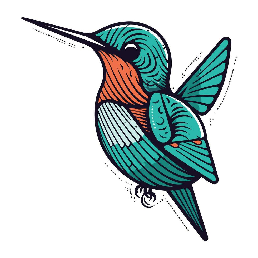 colibri vecteur illustration. main tiré oiseau dans griffonnage style.