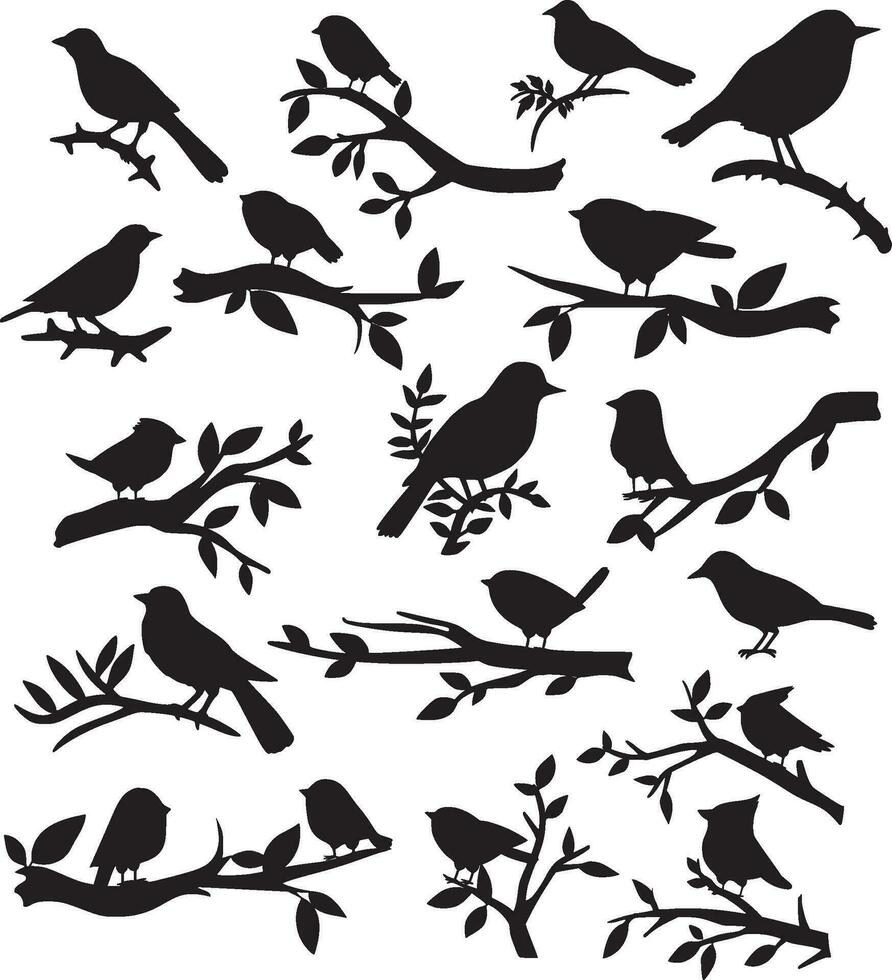 ensemble de oiseau et brindille silhouette. des oiseaux sur une branche vecteur illustration