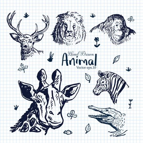 Ensemble d&#39;illustrations animaux dessinés à la main vecteur