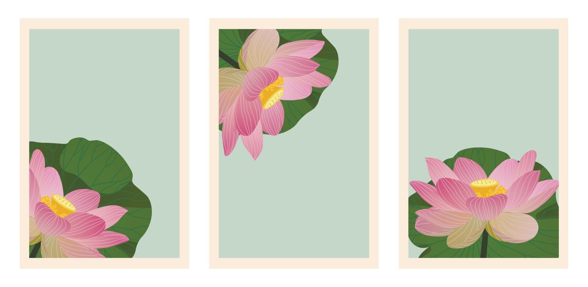 ensemble d'arrière-plans avec des fleurs et des feuilles de lotus. publications sur les réseaux sociaux. vecteur