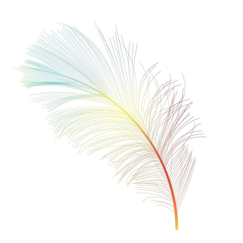 plume d'oiseau illustration vectorielle de fond dessinés à la main vecteur