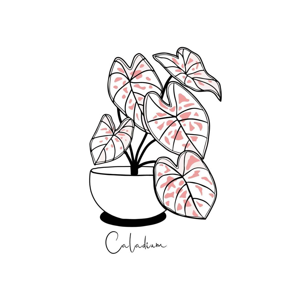 plante d'intérieur en pot. art vectoriel dessiné à la main.