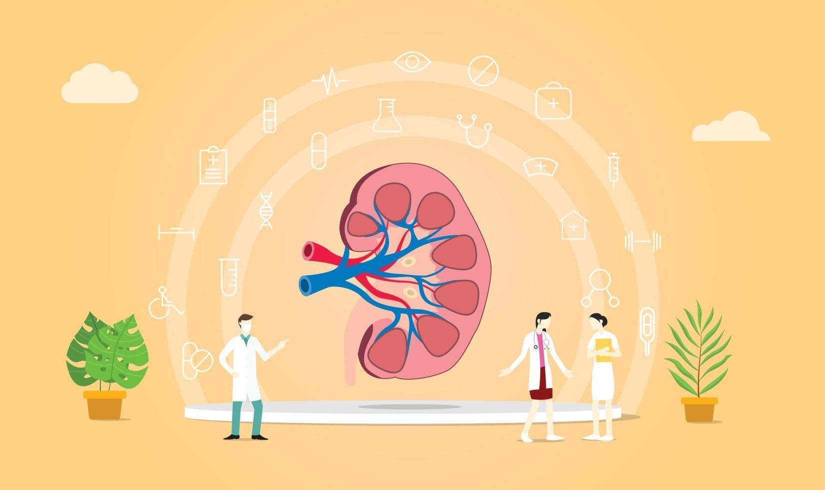 soins de santé des reins avec des médecins qui parlent de soins avec une icône médicale vecteur