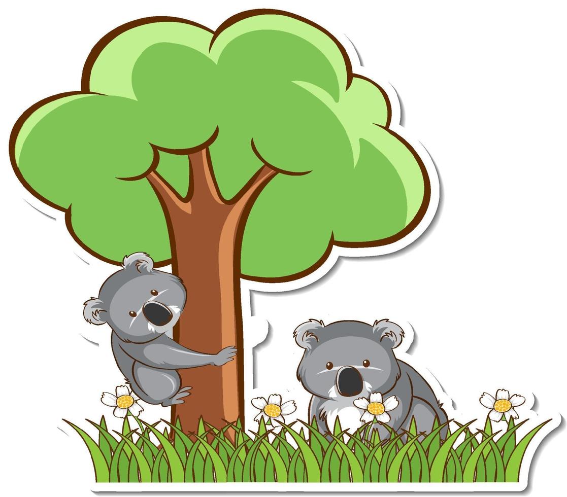 koala maman et bébé debout dans un champ d'herbe autocollant vecteur