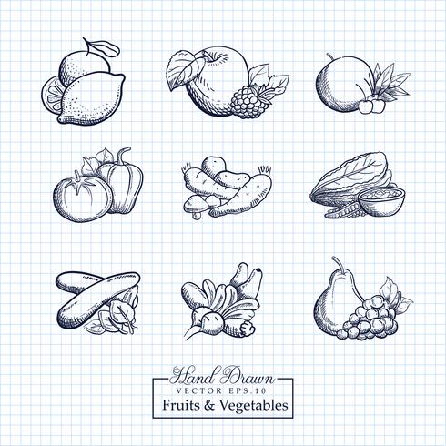 Illustration de fruits et légumes dessinée à la main vecteur