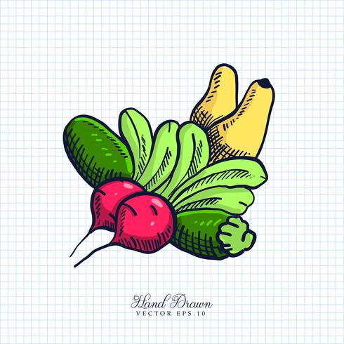 Illustration de fruits et légumes dessinée à la main vecteur