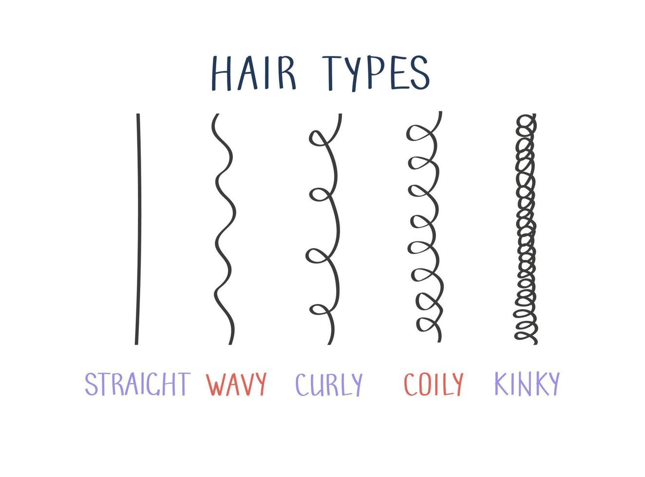 types de cheveux avec types de boucles étiquetés. concept de méthode fille bouclée vecteur