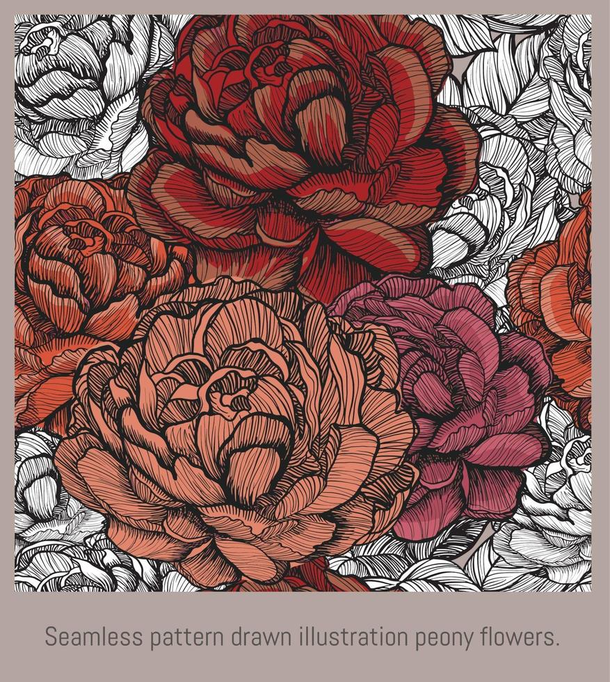 fleurs de pivoine illustration modèle sans couture. vecteur