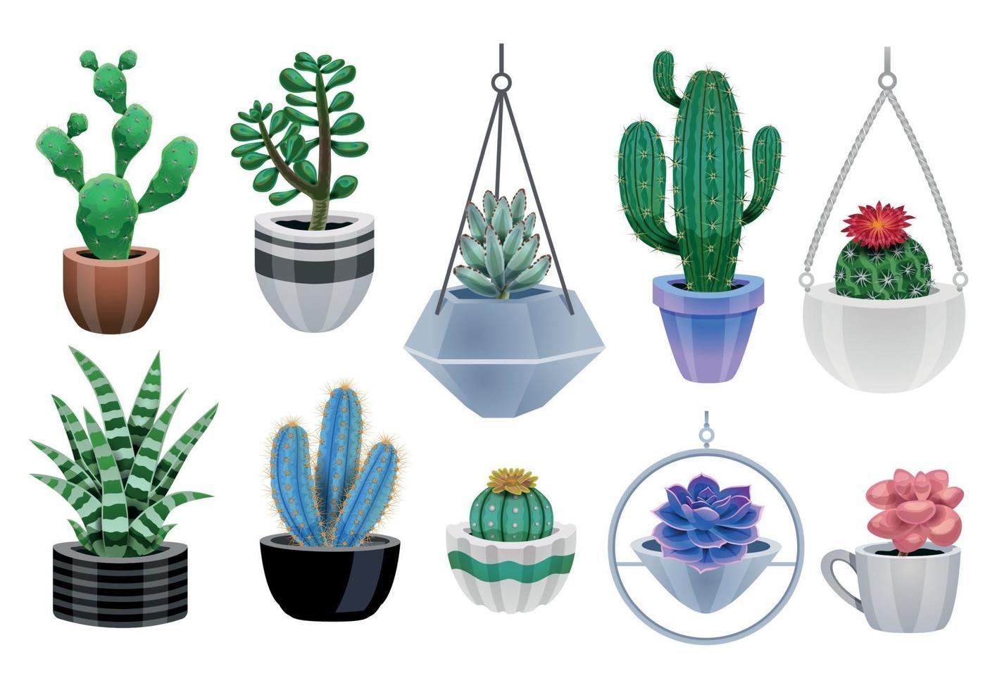 jeu d'icônes de plantes de cactus vecteur