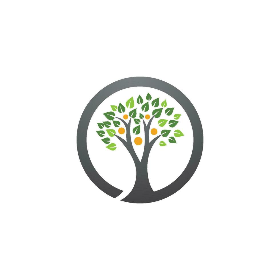 vecteur de modèle de logo d'arbre généalogique