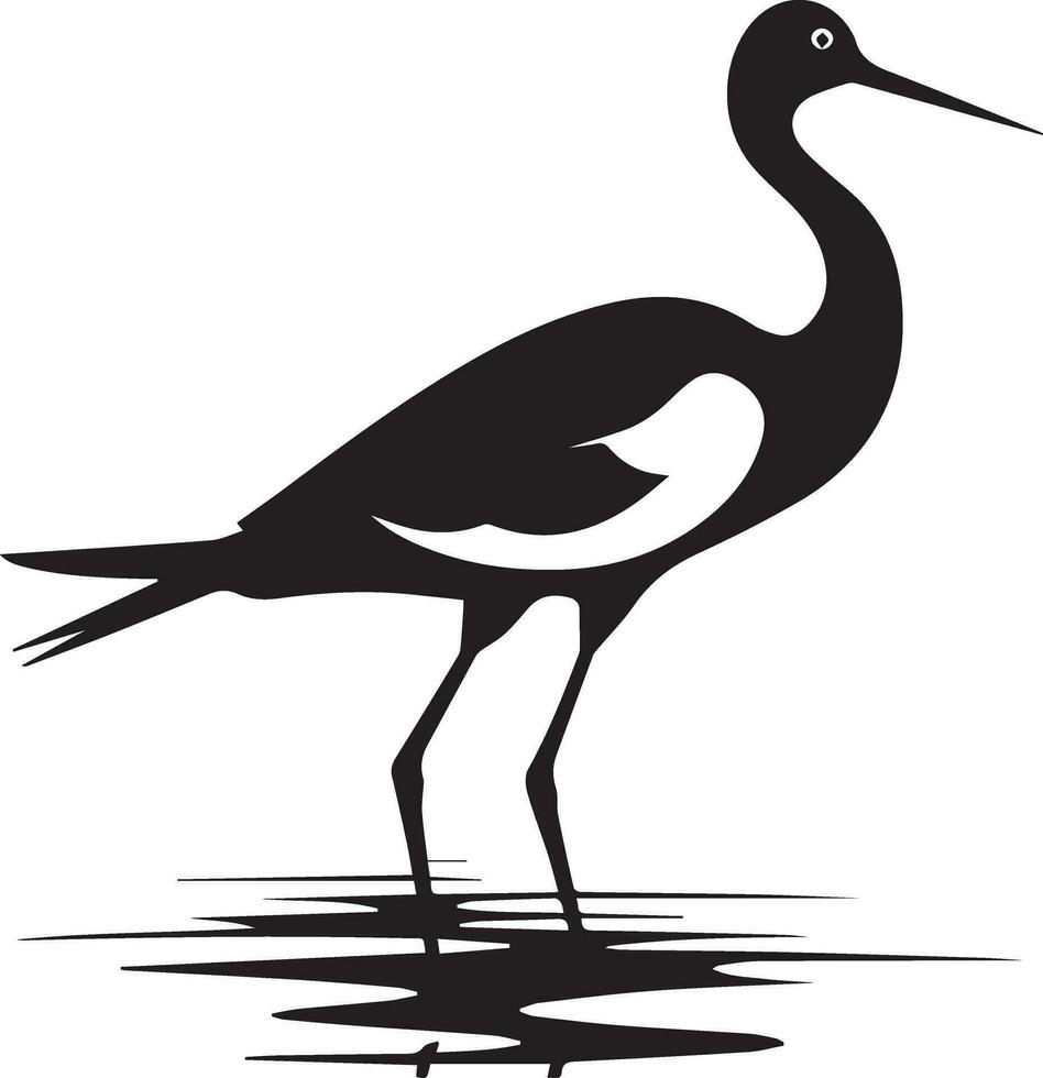 avocat oiseau vecteur silhouette illustration noir Couleur