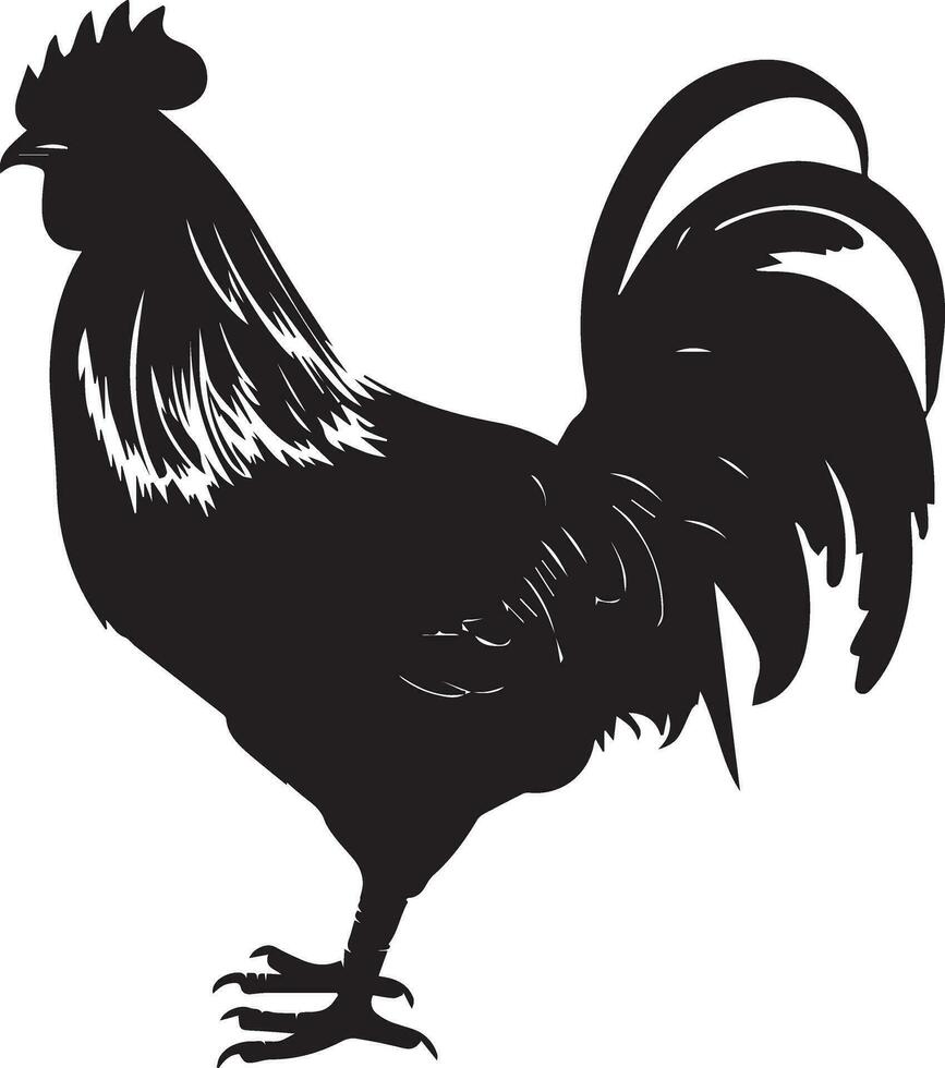 australorpe poulet vecteur silhouette illustration noir Couleur