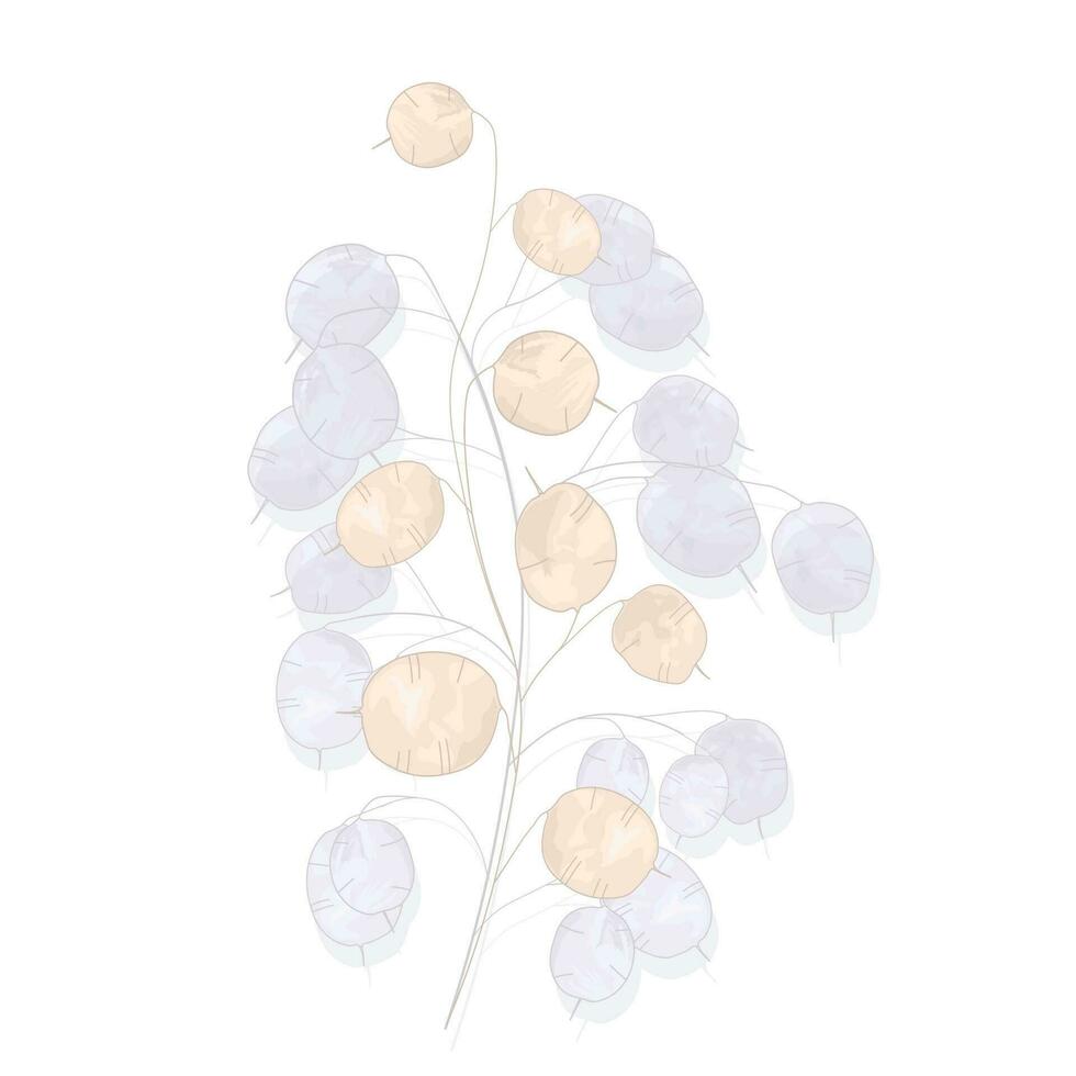 lunaire vecteur Stock illustration. une fragile beige fleur. branche élément pour le invitation. décoratif minimaliste élément. bohème. sec botanique. isolé sur une blanc Contexte.