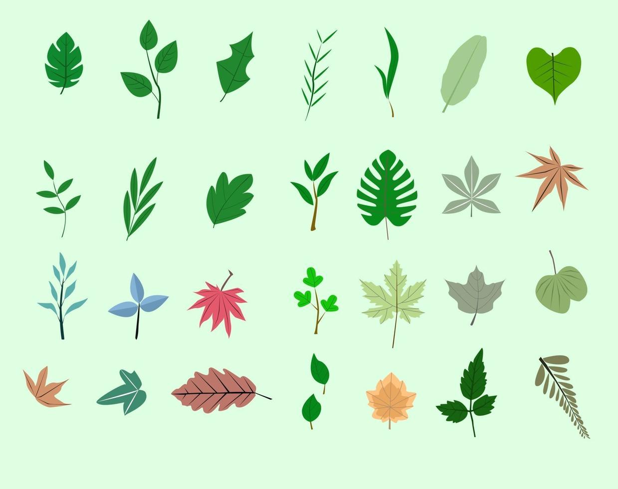 collection de feuilles de forêt, isolée sur fond vert, cut out.eps vecteur