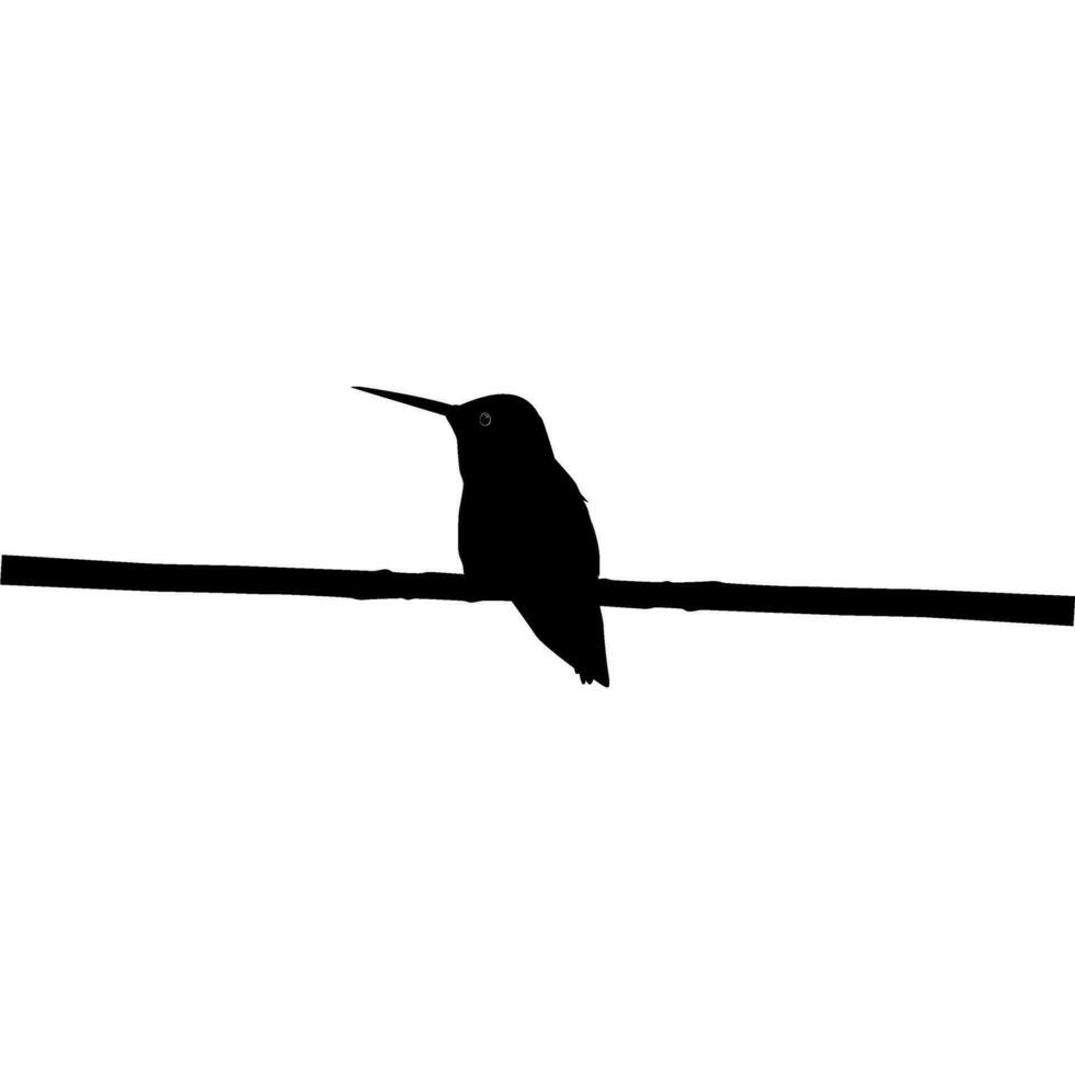 perché colibri silhouette, pouvez utilisation art illustration, site Internet, logo gramme, pictogramme ou graphique conception élément. vecteur illustration